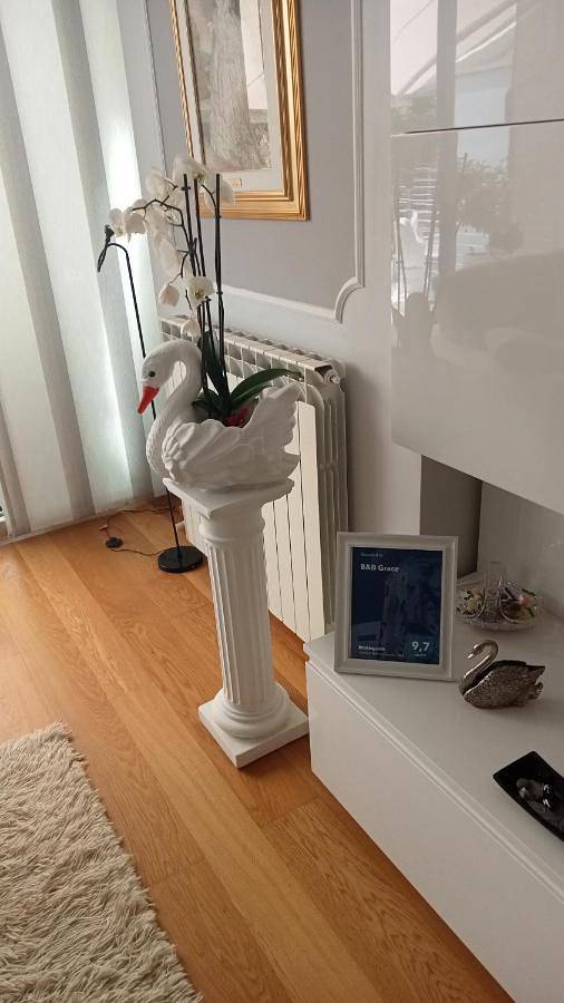 Chambre d’hôte pour 2 personnes, avec Terrasse à Trieste - 3