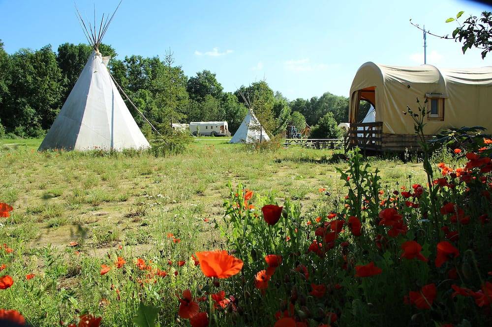 Roulotte insolite dans une ambiance far west aux portes de Troyes in Barberey-Saint-Sulpice, Aube