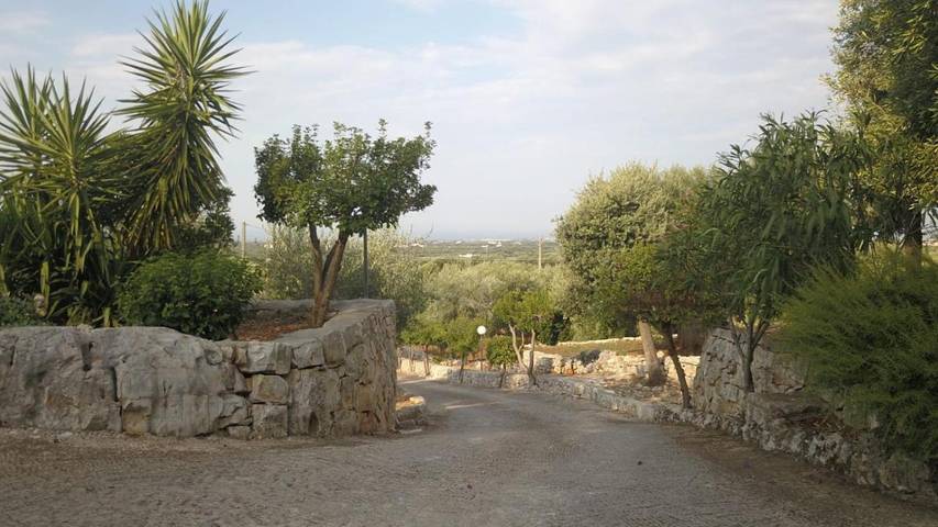 Gîte pour 6 personnes, avec piscine ainsi que jardin et vue à Fasano - 3