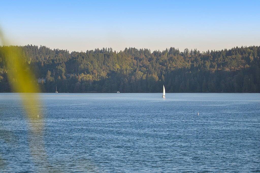 Ganze Wohnung, Salishan Chief Suite in North Cowichan, Cowichan Valley Regional District