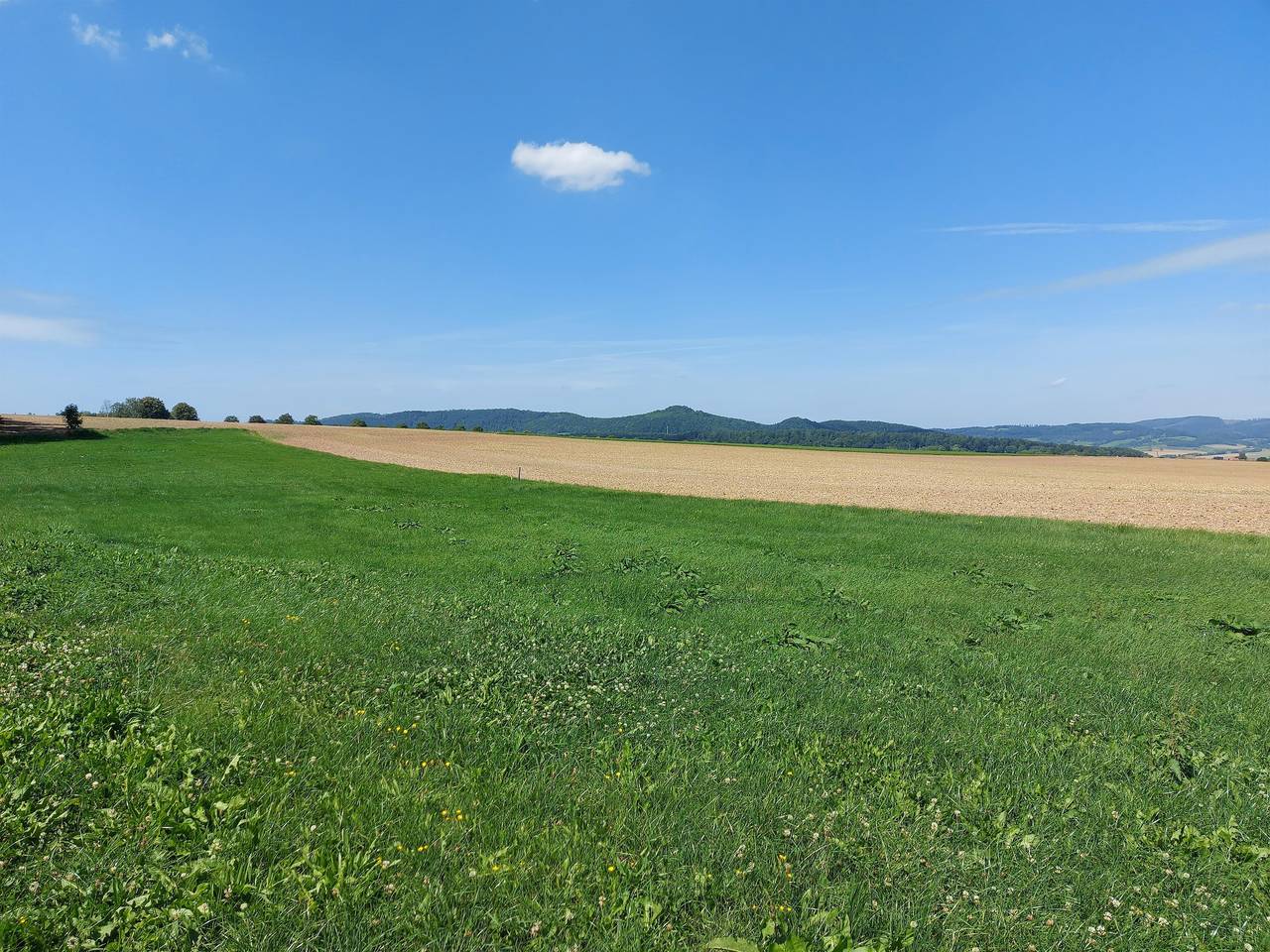 Ganze Ferienwohnung, Ferienwohnung Terasse in Deensen, Landkreis Holzminden