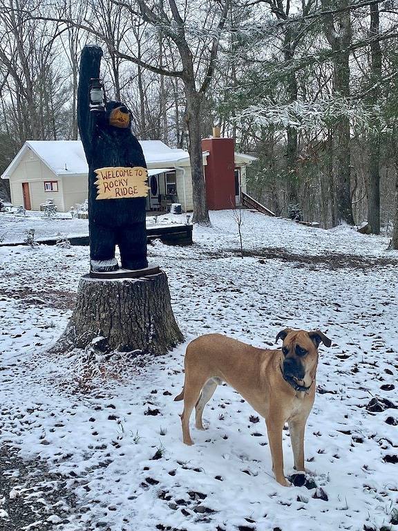 Cabin in the Woods - 5 Miles to Dayton Boat Ramp! 2 miles to Naca Fort Bluff! in Rhea County