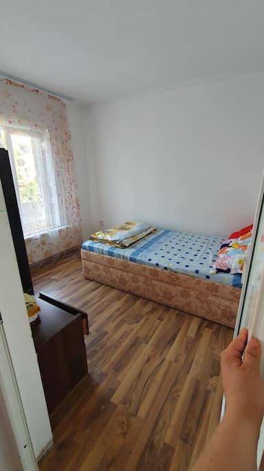 Appartement de vacances pour 4 personnes, animaux acceptés