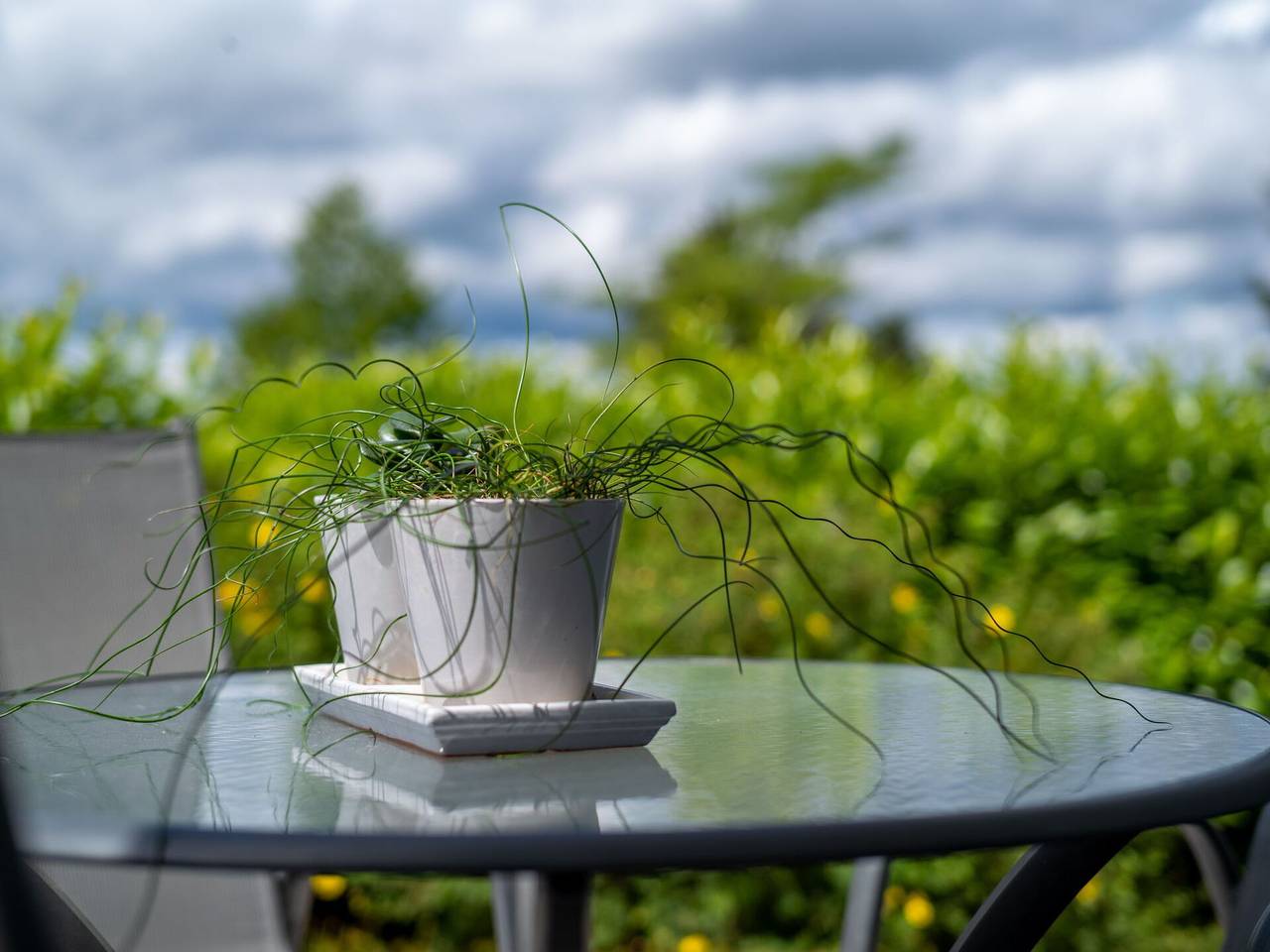 Saarland - Saarland 255.1 in Dittishausen (Löffingen), Löffingen