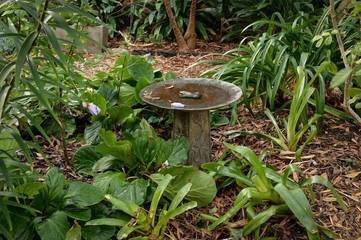 Cottage for 4 People in Torquay (Victoria), Surf Coast Shire, Photo 2