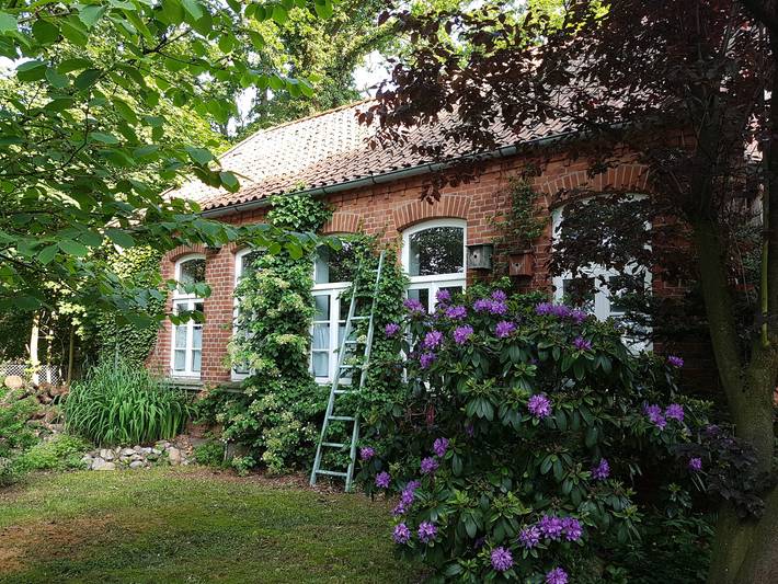 Ganze Wohnung, Alte Schule Jarnsen Klassenzimmer in Lachendorf, Landkreis Celle
