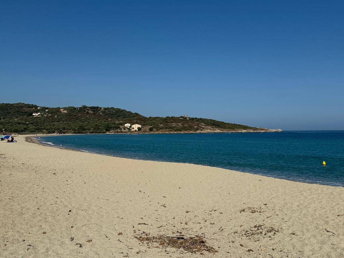 Apartment in Belgodère, Région de Calvi