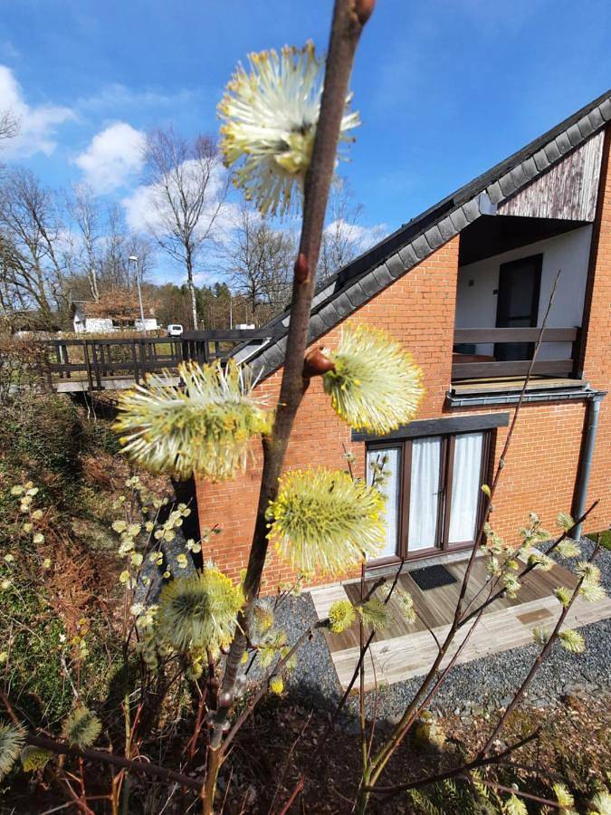 Gîte pour 4 personnes, avec terrasse dans Membre - 2