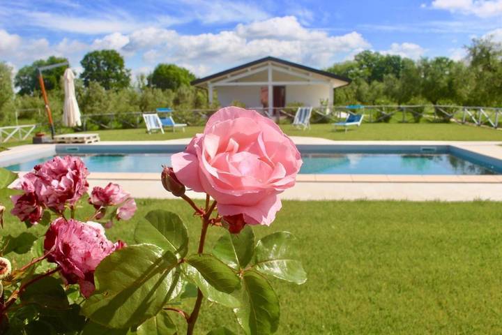 Privatzimmer für 4 Personen, mit Ausblick und Garten sowie Pool, mit Haustier in Castagneto Carducci - 3
