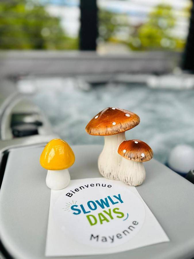 Villa pour 4 personnes, avec sauna ainsi que jacuzzi et jardin dans Mayenne - 4