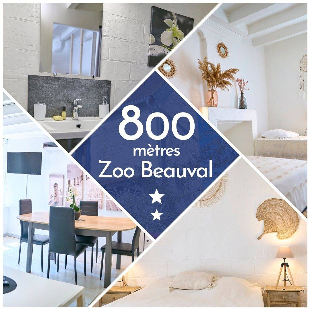 Maison à 800 m du Zooparc de Beauval - Le Petit Prateau in Saint-Aignan, Région de Romorantin-Lanthenay