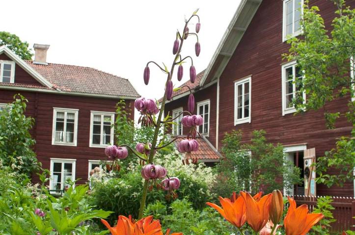 Bed and breakfast för 2 Personer, med Trädgård och Utsikt i Söderhamn