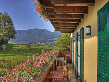 Ferienwohnung für 5 Personen in Mondsee & Irrsee, Bild 4