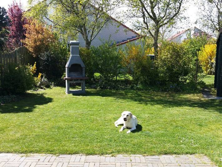 Ferienhaus für 6 Personen, mit Terrasse und Garten sowie Sauna in Julianadorp - 3