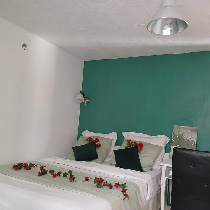 Location de vacances pour 12 personnes, avec jardin et jacuzzi à Tremblay-en-France - 4