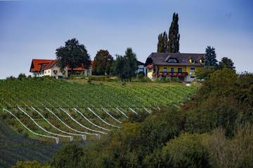 Bauernhof für 4 Personen in Steirerland, Oststeiermark, Bild 1