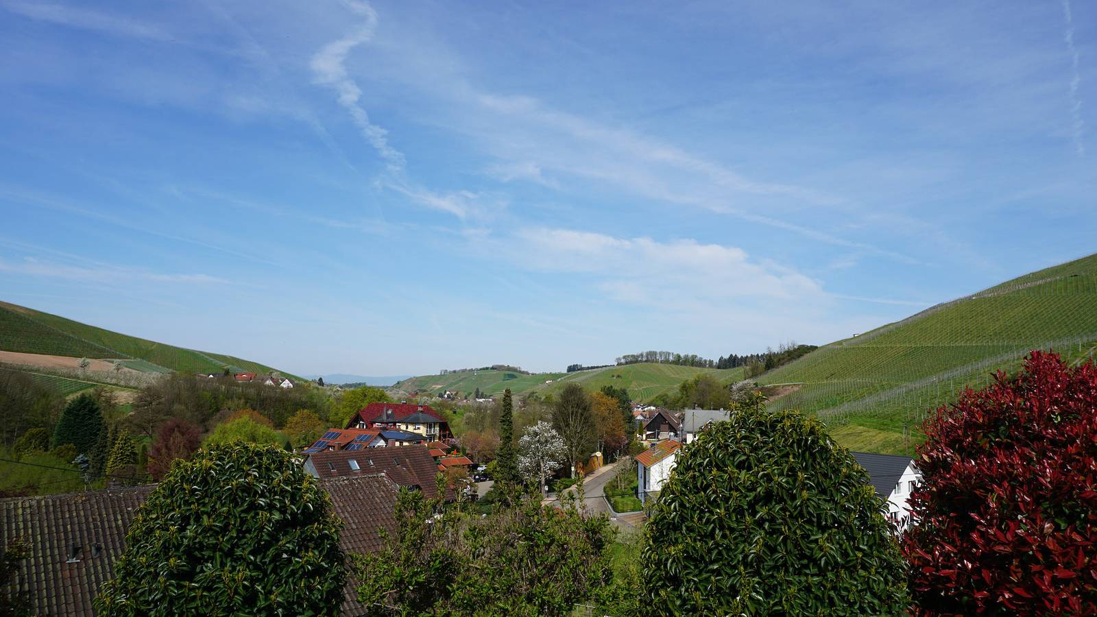 Ganze Wohnung, Ferienwohnung 'Ferienwohnung Anna Durbach' mit Balkon, Wlan und Klimaanlage in Durbach, Mittlerer Schwarzwald