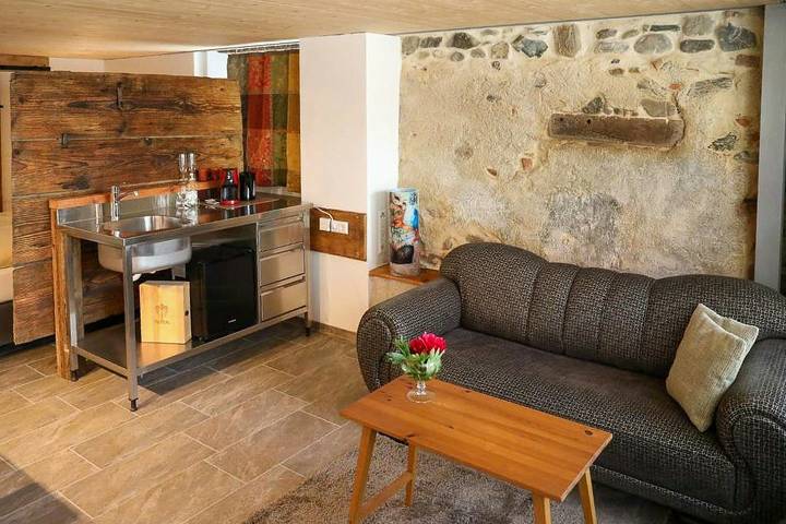 Ganze Wohnung, Saniertes Studio am Ortsrand von Bohlingen in Singen, Hegau