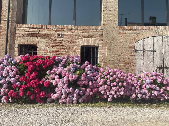 Ferienwohnung für 2 Personen, mit Terrasse und Garten sowie Pool in Parma - 2