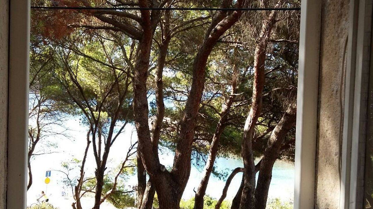 Ganze Ferienwohnung, Ferienwohnung für 3 Personen (21 m²) in Milna (Vis) in Rukavac, Vis