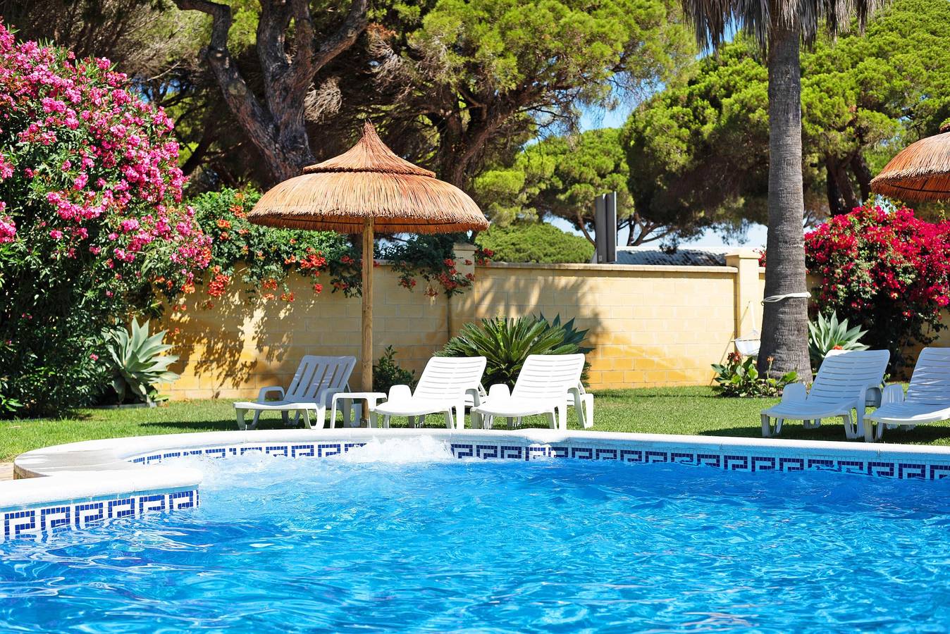 Luminoso apartamento con A/C, piscina, terraza, jardín y Wi-Fi; aparcamiento disponible in Conil de la Frontera, Costa de la Luz