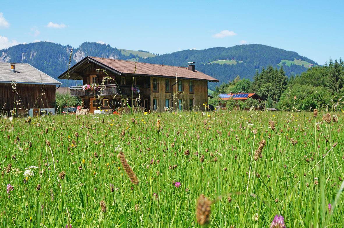 Ferienhaus "Dahoam" in Wildschönau, Kaisergebirge