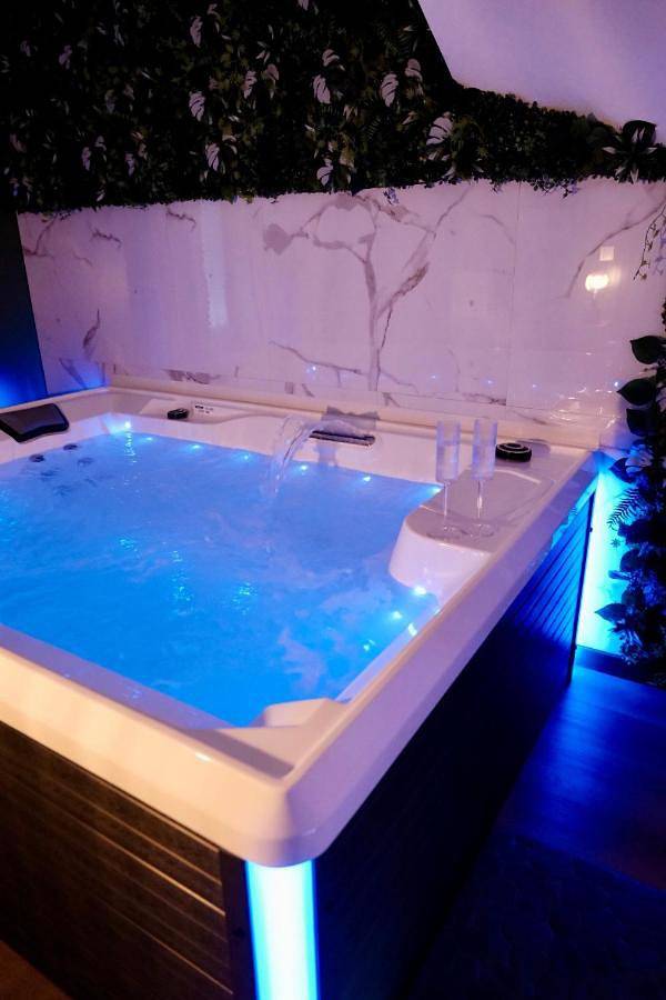 Jungle Room avec jacuzzi privé, rétro-projecteur, jardin & terrain de pétanque in Saint-Yzan-de-Soudiac, Région de Blaye