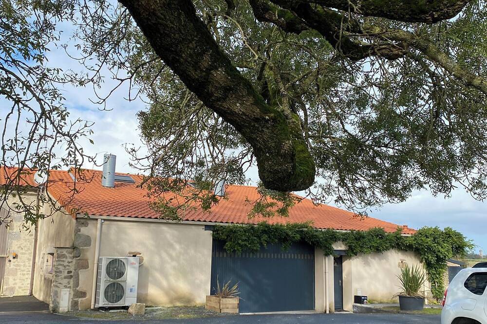 Gîte bord de sèvres entièrement meublé in Sèvremoine, Région de Cholet