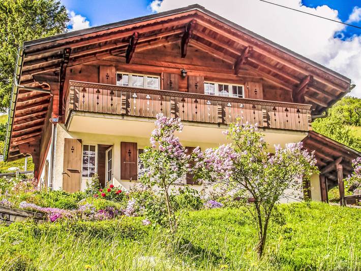 Location de vacances pour 6 personnes, avec jardin à Grindelwald - 3
