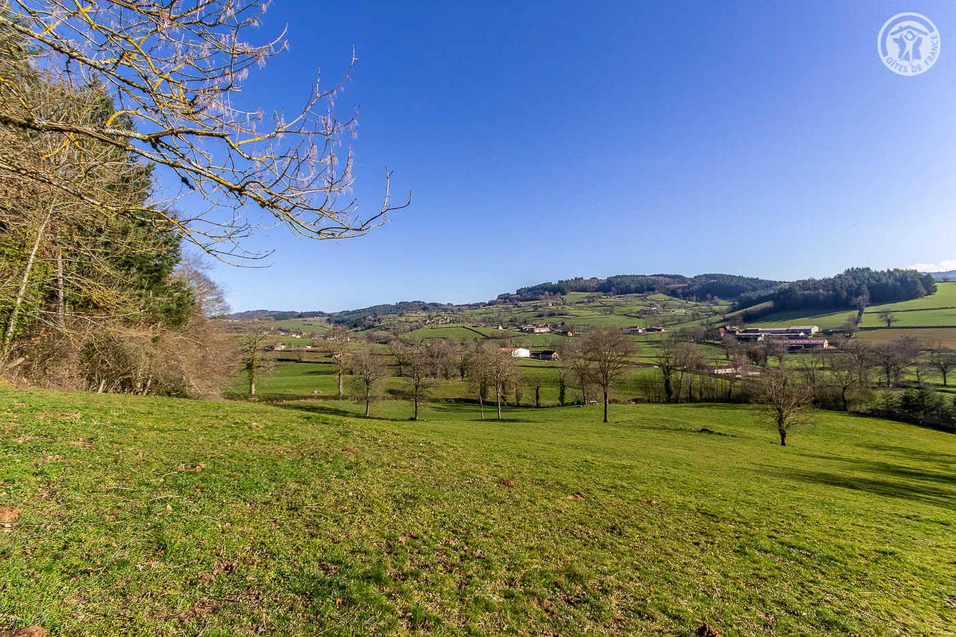Les Grandes Molières in Châtenay, Région de Charolles