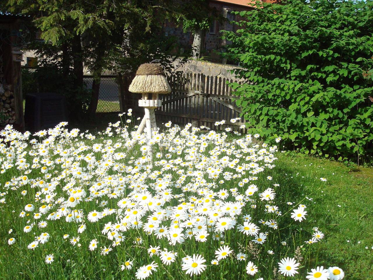 Ganze Ferienwohnung, Ferienwohnung Vogel in Mustin, Naturpark Lauenburgische Seen
