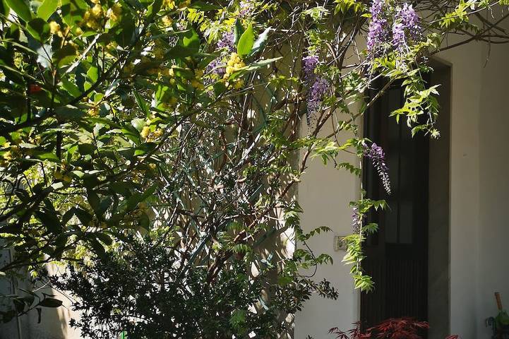 Ferienwohnung für 5 Personen, mit Balkon und Garten - 1
