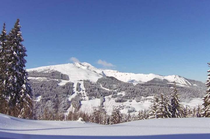 Chalet pour 10 personnes, avec jardin, animaux acceptés - 1