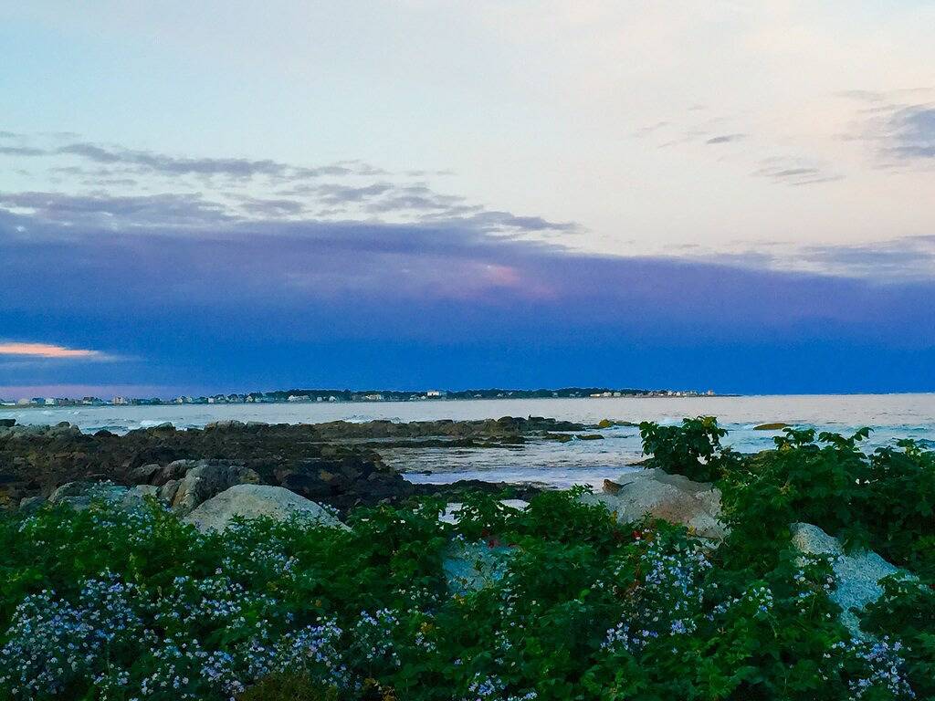 Bright Beach Cottage, Waterviews, Hunde Ok, Flitterwochen, Hochzeiten in Biddeford, York County