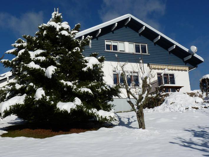 Chalet pour 6 personnes, avec terrasse et jardin à Gérardmer - 2