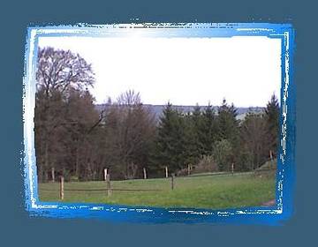 Appartement voor 4 Personen in Hellenthal, Naturpark Hohes Venn-Eifel, Afbeelding 2