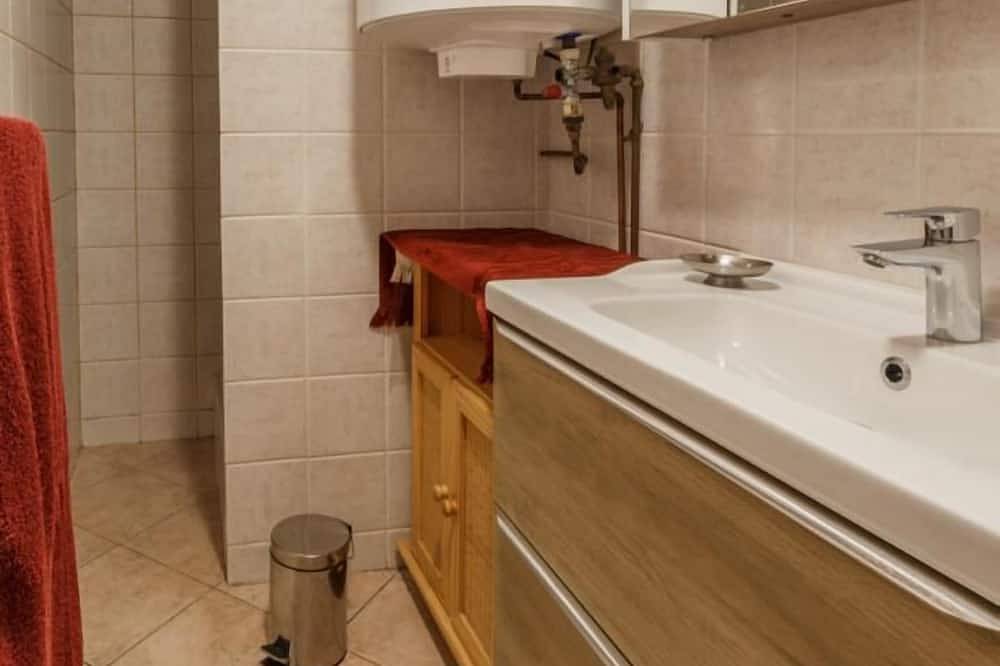 Les Colombieres - Bouquetin in Bonneval-sur-Arc, Saint-Jean-de-Maurienne region