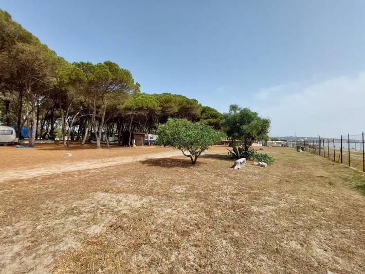 Camping für 2 Personen, mit Ausblick und Garten, mit Haustier in Kalabrien - 3