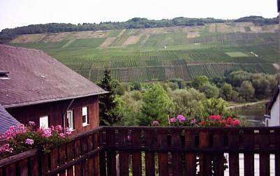 Ferienwohnung für 3 Personen an der Mosel - 3