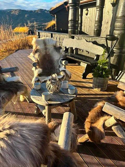 Feriehus for 12 personer, med terrasse og sauna, dyr tillatt i Telemark