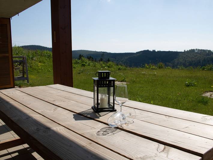 Ferienwohnung für 8 Personen, mit Terrasse und Garten sowie Sauna in Neuastenberg - 2