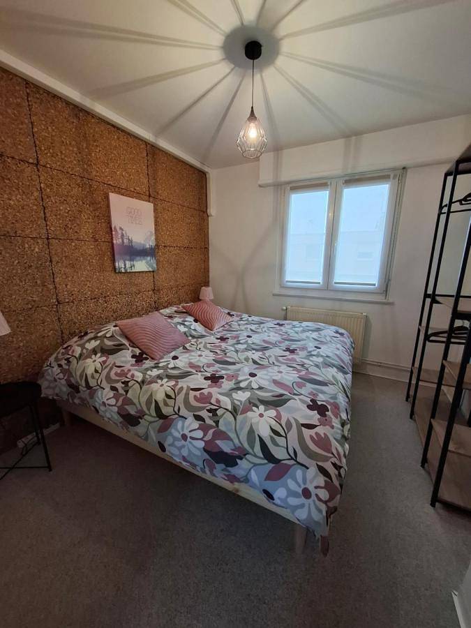 Location de vacances pour 2 personnes, avec jardin et terrasse, animaux acceptés à Rixheim - 3