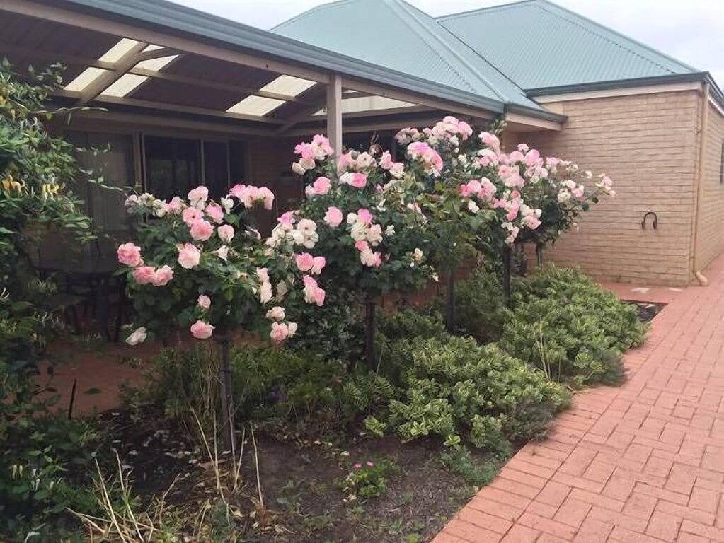 Dunsborough - Rückzug von den Ufern der Bucht in Dunsborough, Western Australia
