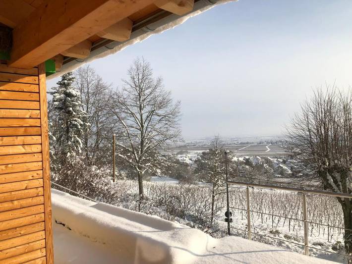 Ferienwohnung für 4 Personen, mit Terrasse und Garten sowie Ausblick in Gleisweiler