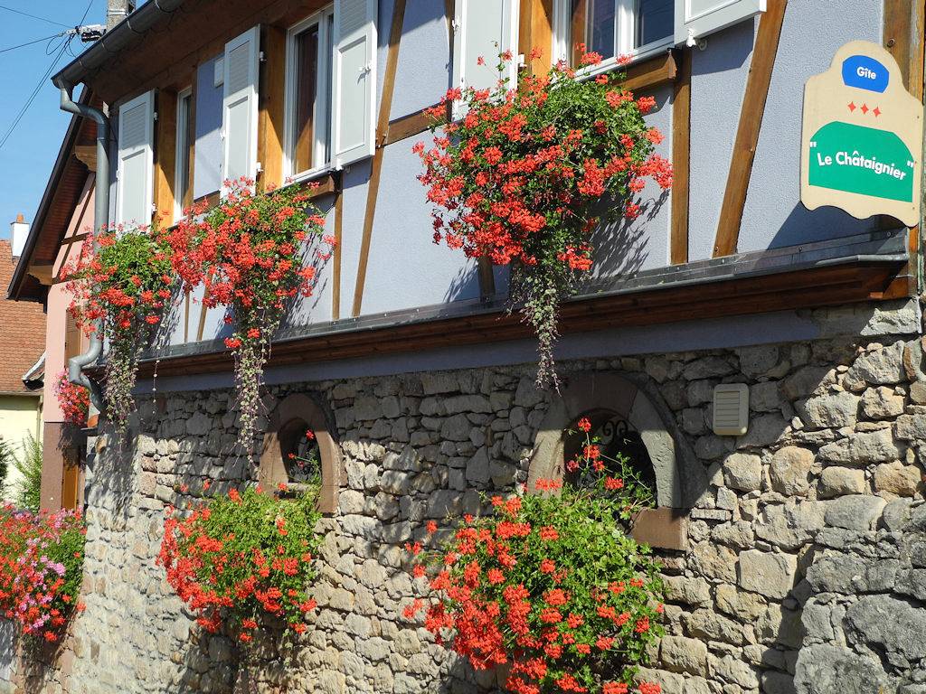 Epfig : Gîte Le Châtaignier - 2 Gîtes au centre Alsace in Epfig, Région de Sélestat-Erstein