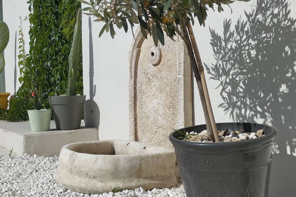 Le chant des oiseaux à 5mn du centre du village in Fontvieille, Région d'Arles