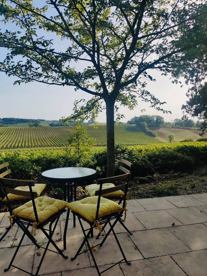 Location de vacances pour 8 personnes, avec jardin ainsi que vue et piscine à Montréal (Gers) - 3