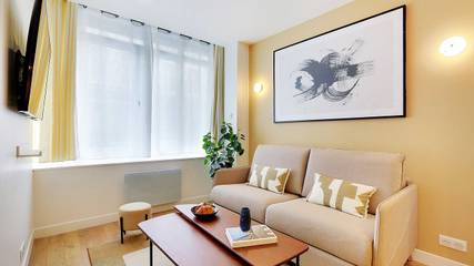 Gîte pour 9 personnes dans Musee Du Louvre Paris