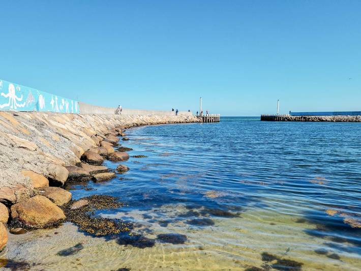 Ferienhaus für 8 Personen, mit Terrasse und Pool in Marielyst - 3