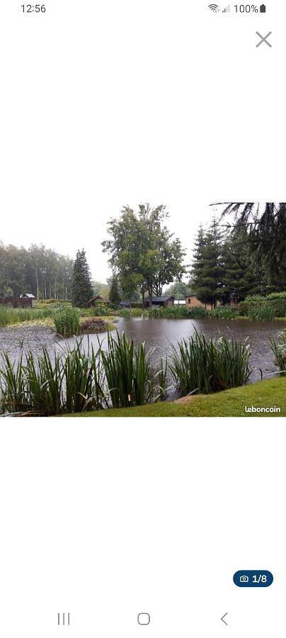 Gîte pour 2 personnes, avec vue dans Parc naturel régional des Ardennes - 2